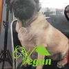 .vengan8