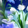user019w9299