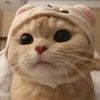 itsathupo