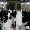 عمروممدوح