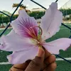 simplesmente Jana🌸🦋