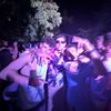 vincent_loverde10