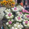 chipchipaa_11789889