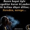 teymur085.068