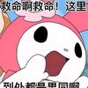 littlefish7761