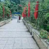 nguyenthiem920