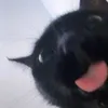 chifncdm