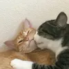 neluwis