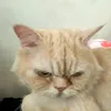 mueksubin