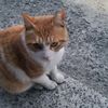 whyrano77771