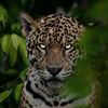 jhona.t.villca24