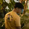 josue_dmr