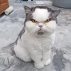 jldht