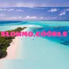 slowmo.göörls