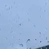hello124578_