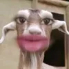 giusnake