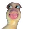 zzza.j