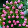 vynong66