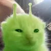 userdcrkvuuti5