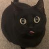 duathel