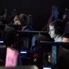 paxcalxd