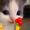 eme0x