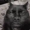 dzikakreweta