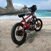 agamu1