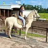 kristkachenko1