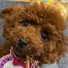 minmi.miyu
