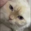 00007777nq
