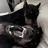 zcyi