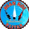 dian_nasruloh