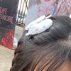 bua_274