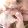 fayola_azra