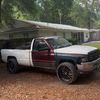 calicocummins