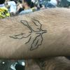 pokemonum