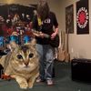 vanhalen.7