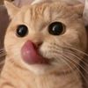 momay090439