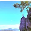 bagindamartuaharahap