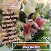 bungaterataiputih0