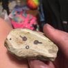 lauren.the.rock