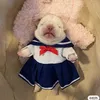 dollobi