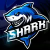 whiteshark0501