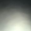 nobody88790