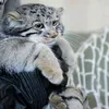 ramazanov_05__