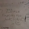 cucaracha6699