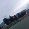 andersonalegria10