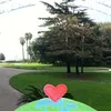 vincenzomancinel