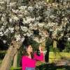 anitastha537